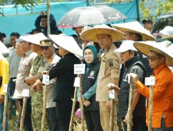 Bupati Konut Pimpin Tanam Serentak CSR 10.000 Hektar, Dorong Percepatan Sawah Rakyat